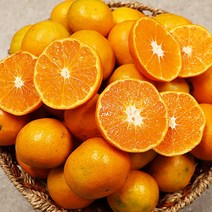 제주감귤 제주밀감 고당도 제주도 귤 5kg 10kg, 제주 감귤 소과 10kg