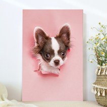 강아지 고양이 애완동물 반려동물 반려견 사진 방꾸미기 인테리어 캔버스 액자, 06치와와