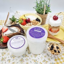 [5배 농축] 왕꾸덕한 무가당 수제 그릭요거트 요거벨 - 500g 2개