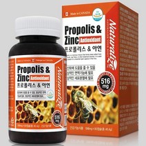 캐나다 프로폴리스 아연 90캡슐 프로폴리스아연c