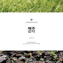 [개똥이네][중고-상] 제주 감각