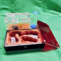 개미집 개미 아크릴 관찰 키우기 집 DIY 튜브 사육장 외부 워터 타워 있음 높은 보습 애완 동물 곤충 성 둥지 노란색 토양 석고 사육장, One water tower Farm, As picture