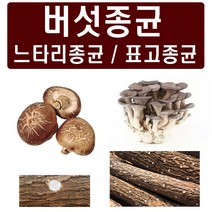 [친환경마켓] 표고버섯(캡슐606구) - 참나무 원목 접종용 버섯 모종 느타리 성형 종균 표고버섯, 1개, 100g(내외)