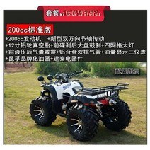 ATV 사륜오토바이 오프로드 농촌 산악바이크, 빅불 패키지3- 200cc