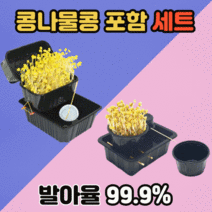 어린이 콩나물 키우기 세트 콩 포함 가정용 미니 애완 콩나물재배기 대용량 콩나물시루 기르기 키트, 콩나물 재배하기(저학년) 5개
