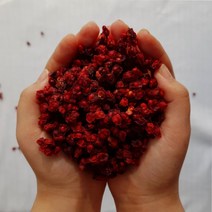 올바른새움푸드 국산 100% 농가수제 GAP인증 문경 건오미자 말린오미자 오미자, 건오미자 600g