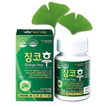상상 징코후 기억력 개선 은행잎추출물 혈행개선, 1통, 500mg