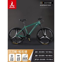 그래블 자전거 입문용 로드 MTB 바이크 출퇴근 중학생 초등 한강 경량 가벼운 하이브리드, 27.5인치, 30속, 그린 스포크3