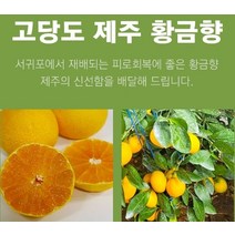 제주 황금향 선물용 4.5k 13-18과 성인병예방 수험생 비타민C 피로회복 명절 다이어트식단, 2.5k 8-13과