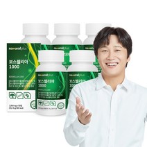 내츄럴플러스 보스웰리아 1000 90정 / 보스웰릭산 AKBA+KBA, 5박스
