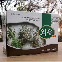 백년 와송 엑기스 국내산 와송즙 100mlx60팩