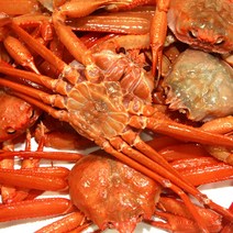 영덕강구항 박달홍게 마리당 350g내외 수율 80~90%, 1박스, 5마리(마리당 350g내외 수율80~90%)