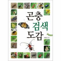 곤충 검색 도감 - 한영식, 단품