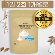 프롤린 유산균 락토바실러스 불가리쿠스 애시도필러스 비피도 박테리움 한국형 분말, 상세페이지 참조, 상세페이지 참조