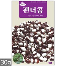 왜성적피 강낭콩 씨앗 30g - 콩씨 콩씨앗 씨 강낭콩씨 빨간강낭콩 붉은강낭콩씨앗 씨 강낭콩씨앗 주말농장 텃밭, 20_팬더콩(30g)