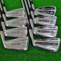 브리지스톤 REXTAR 3-9.S 아이언세트 다골 S400