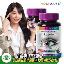 홀리데이즈 눈건강 10종복합기능성 루테인 90캡슐 x 2병 (총6개월분), 90정, 2개