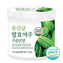 푸른들판 국산 발효 여주 분말 추출물 추출 김치 유산균 농축 가루 국내산 안쓴 비터멜론 차 암팔라야 추출액 파우더 haccp 인증, 170g, 1개