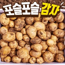 국내산 감자 햇 수미감자 5kg 알감자 찜용 반찬용, 알감자 중 -5kg
