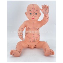 인체 모형 침술 모델 근육 교육용 간호실습용 뼈 사람 해골, A