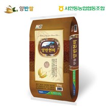 22년산 [서안동농협] 양반쌀 현미 10kg, 단품