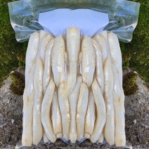 국산 강원도 깐더덕 더덕 손질 구이용 무치용 더덕주스용 산지직송, 500g (대), 1팩