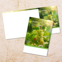 교회주보 예배 주보용지 3단6면 주보지 안내지 전도지 절기 부활절 추수감사 맥추감사 성탄절 신년감사 디자인 기독교용품, EW-19