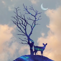 우주를 품은 사슴 그림 액자 제작 실사출력, 10S (﻿45.5cmX45.5cmX2cm), 1.회색빛구름