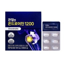 콘드로이친 관절엔 콘드로이친1200, 60정, 2개