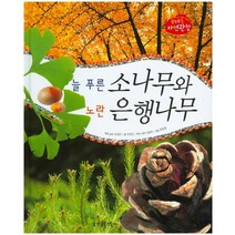 늘 푸른 소나무와 노란 은행나무, 한국톨스토이