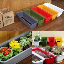 취미활동 나만의 텃밭가꾸기 튼튼한 식물 화분 꽃재배, DAMDDA하우스팜 옐로우