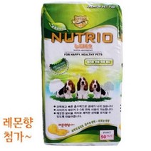 라이코스펫 반려견 50매 강아지 1개 배변패드 애견
