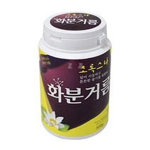 PGM1*^몰화분전용 거름 300g 꽃거름 용거름 비료 식물 퇴비^*1췤pgm, a^^*옵션없슴