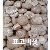 표고 국산 생 표고버섯 상 1kg 행복한식탁