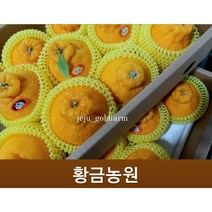고당도 하우스 한라봉 명절세트 한시적 무조건 당일발송 당도보장, 선물고급3kg대과(8~9과)