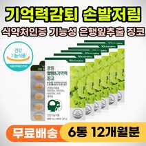 기억력 인지력 두뇌엔 징코 두뇌건강 뇌건강 영양제 어르신 노인 중년 부모님 인지능력 감퇴 저하 뇌에좋은 두뇌엔 징코 은행잎 손발 다리 팔 저림 혈행 혈액 혈관 건강 개선 순환