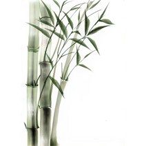 보석십자수 사군자 매화 난초 국화 대나무 매란국죽 행복 재물 풍수 수묵화 동양화 큐빅가득그림 집들이 개업선물 새로운 취미생활 구슬 비즈 DIY키트 액자없음 15종, 사군자수묵화십자수06, 60*80cm