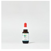 ORIGIN-A Propolis Liquid 오리진 에이 프로폴리스 리퀴드 25ml 4팩