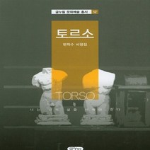 NSB9788963272696 새책-스테이책터 [토르소] --글누림 문화예술 총서 12-글누림-변학수 지음-문화연구/문화이론-20141030 출간-판형, 토르소