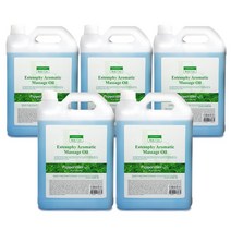 에스테소피 마사지오일 5L_페퍼민트 대용량아로마 500ml추가증정, 5개, 5000ml