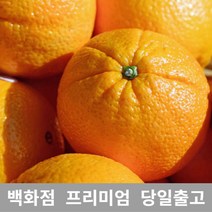 추천+ 가락청과네 오렌지 3kg 블랙라벨오렌지 열대과일, 선택= 1, 선택= 본상품선택
