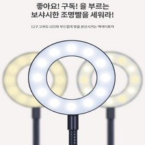 유튜버조명 유투버조명 인스타라이브조명 유튜버방송조명 인터넷방송조명 LED방송조명 마이크거치대방송조명 스탠드조명 스탠드방송조명, 1개, LED 링라이트
