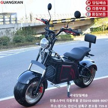 알엠티 최신형 유럽바이크 KC인증 할리 전동스쿠터 플러스 업그레이트 엑스프로 RMT-QN24, 블랙