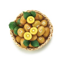 [익스프레쉬] 제스프리 골드키위 점보 24개입 3.2kg 내외, 상세 설명 참조, 상세 설명 참조