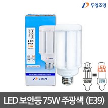 두영 LED 보안등(E39) 75W 주광색 LED벌브, 단품, 단품