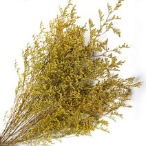 미스티블루 노랑색 프리져버드 한다발