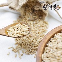 힘찬농부오달봉 2022년 수입 귀리 귀리쌀 오트밀 통귀리, 1포, 5kg