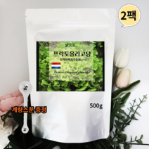 네덜란드 프락토올리고당 분말 신 프리바이오틱스 유산균분양 갈락토올리고당 이눌린 500g 2팩
