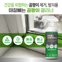 때잘빼는 곰팡이 클리너 거품스프레이 500ml, 옵션01_싱글 (곰팡이 클리너 500ml 1개)