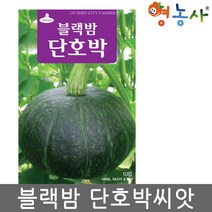 블랙밤 단호박씨앗 10립